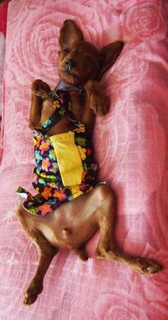 女人睡觉吹气是什么预兆，女人睡觉吹气是什么原因（睡相不太好的女生谁不想被男盆友这样照顾）