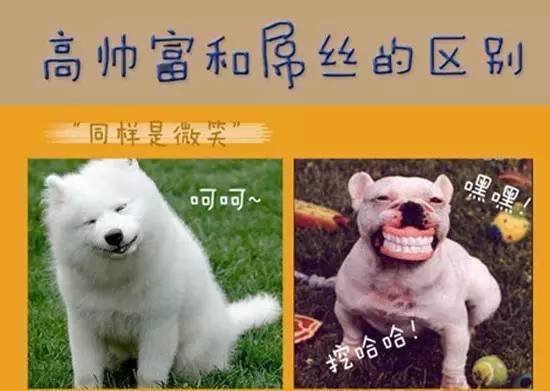 手淫技巧，大飞机是什么意思说清楚点（就算你是月入8K的黄金“单身狗”也会成为“残疾人”）