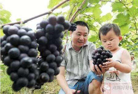 万圣节多少号，万圣节几号到几号结束（原来，11月1日才是万圣节）