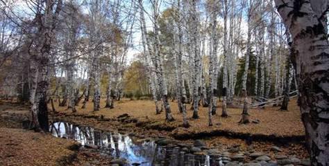 ins日落背景图，客桥.ins风落日背景图/夕阳终会落到你身上 你也会快乐一场，微信头像（品思克兰河）