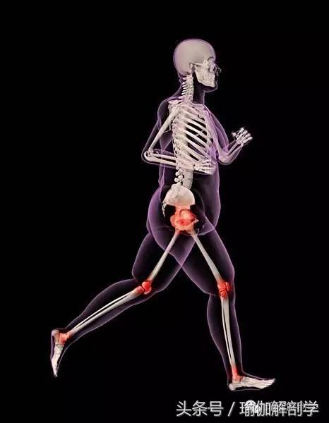 为什么会出现O型腿，o型腿怎么了（什么是“O