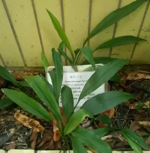 明秀东路179号广西中医药大学学生宿舍小区，2021广西中医药大学地址在哪里（请把我留在广西中医药大学）