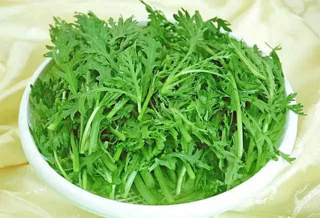 蒿菜的功效与作用，白蒿的功效与作用图片（冬季吃它能降血压、养心肺）