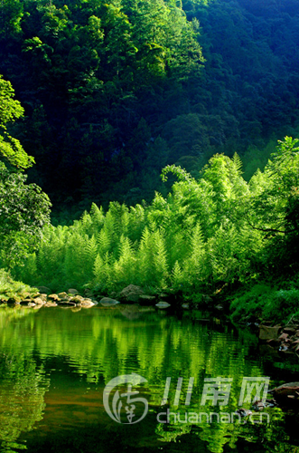 天仙洞风景区，天仙洞风景区要门票吗（泸州这几个天然氧吧等你来洗肺）