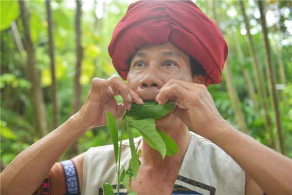 怎么样教你吹好听的笛子，小小一片树叶就可吹出优美歌声