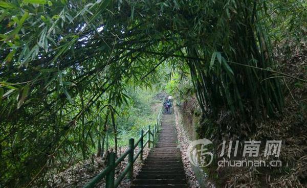 天仙洞风景区，天仙洞风景区要门票吗（泸州这几个天然氧吧等你来洗肺）