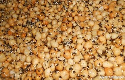 山东禹城属于哪个市，山东省禹城属于哪个市（家在齐鲁系列德州禹城）