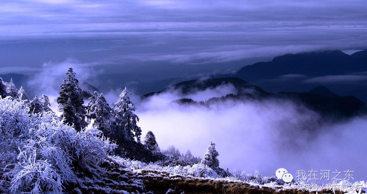 花未央是什么意思，花开未央前一句是什么（雪落花未央<梁孟华>）