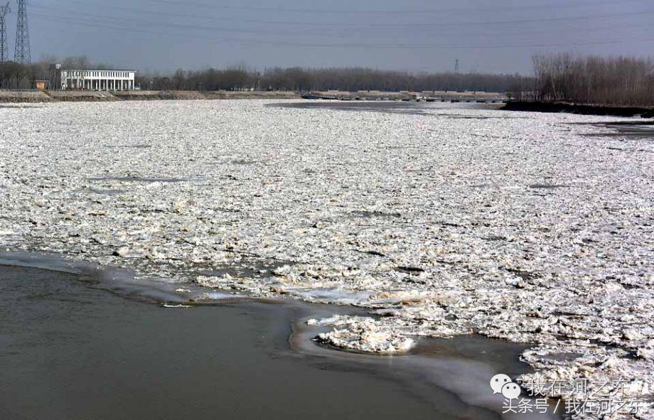 花未央是什么意思，花开未央前一句是什么（雪落花未央<梁孟华>）