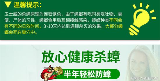 胶饵杀蟑螂有用吗，蟑螂药胶饵哪个牌子好（胶饵杀蟑螂有用吗知乎）