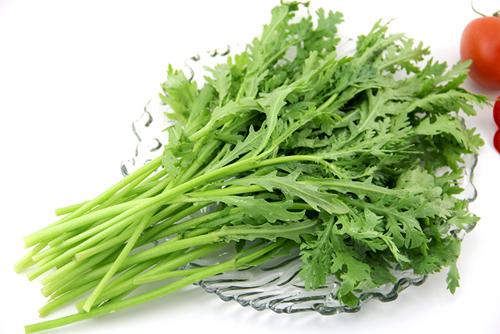 蒿菜的功效与作用,白蒿的功效与作用图片(冬季吃它能降血压,养心肺)