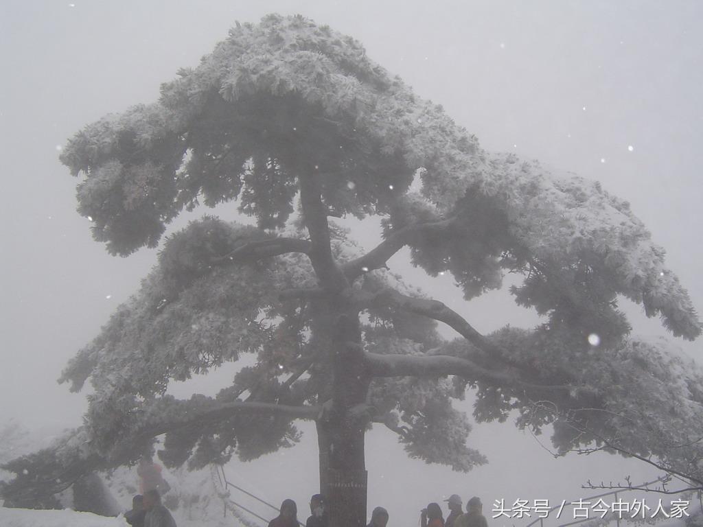 黄山四绝指的是哪四个，黄山四绝分别是什么（你没听过的黄山四绝）