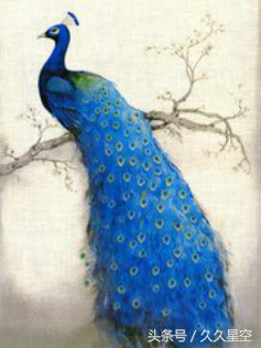 属虎人的五个贵人，属狗人的五个贵人（这4对生肖的婚姻能生财）