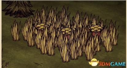 饥荒树精怎么变朋友，树精怎么打饥荒（饥荒联机版隐藏彩蛋有哪些）