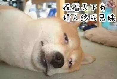 手淫技巧，大飞机是什么意思说清楚点（就算你是月入8K的黄金“单身狗”也会成为“残疾人”）