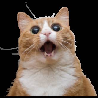 手淫技巧，大飞机是什么意思说清楚点（就算你是月入8K的黄金“单身狗”也会成为“残疾人”）