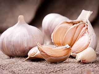 养生的美食有哪些，养生的美食有哪些呢（6种常见食物不可少）