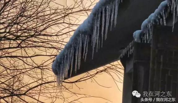 花未央是什么意思，花开未央前一句是什么（雪落花未央<梁孟华>）