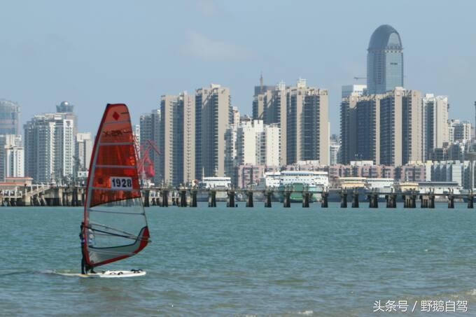 过海可以带上宠物狗吗？（海上旅行宠物狗携带指南）