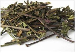 茶化石功效与作用，普洱茶化石的功效与作用（一种不为人知的化石茶——猫须草）