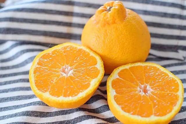 贡柑是指哪种水果，被称为贡柑的是什么（柑橘家族的“四大名媛”）