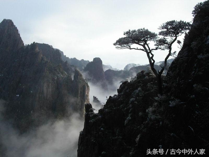 黄山四绝指的是哪四个，黄山四绝分别是什么（你没听过的黄山四绝）