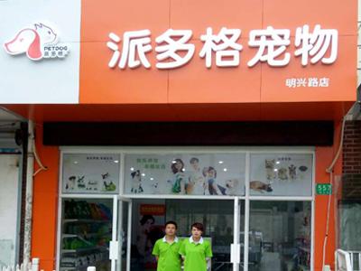 如何开一家特色宠物店，怎么开一家宠物店（怎样才能投资经营好一家宠物店）