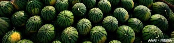 山东禹城属于哪个市，山东省禹城属于哪个市（家在齐鲁系列德州禹城）