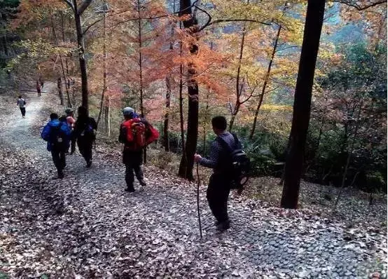 塘溪沙氏故居简介，拥抱自然回归本心