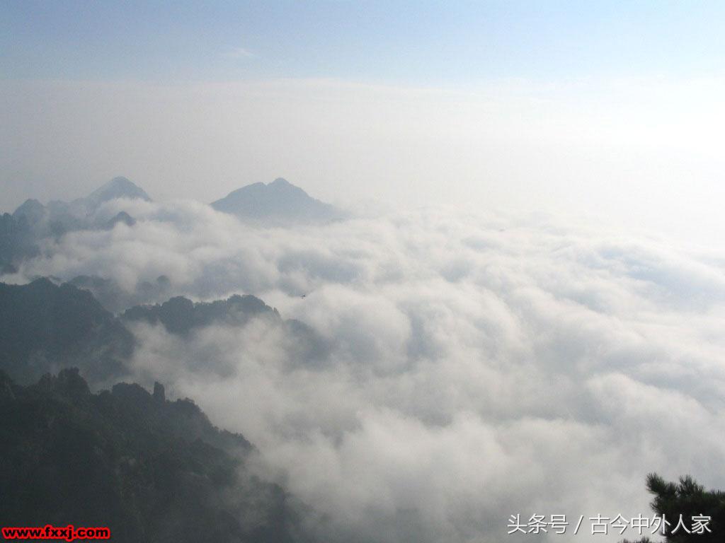 黄山四绝指的是哪四个，黄山四绝分别是什么（你没听过的黄山四绝）