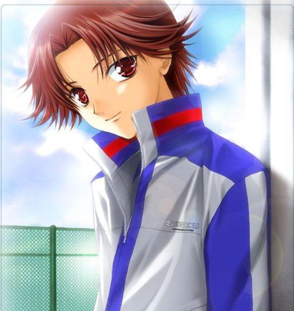 如猫般可爱的太阳王子,网王里帅气的正太菊丸英二