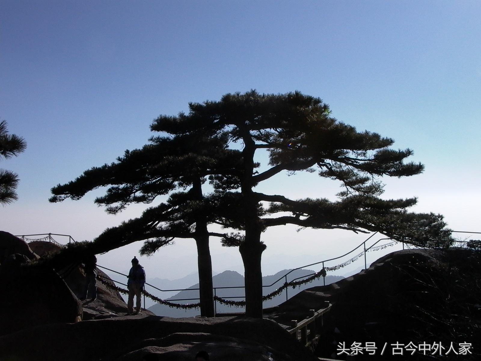 黄山四绝指的是哪四个，黄山四绝分别是什么（你没听过的黄山四绝）