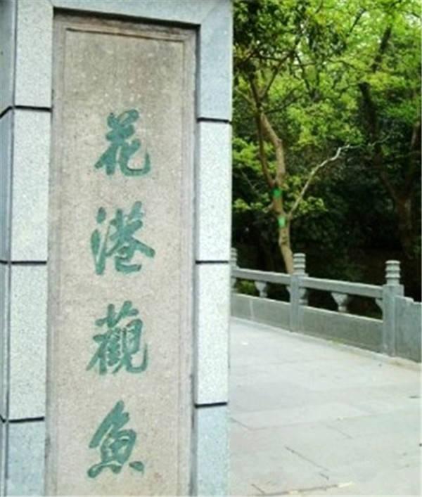 风情万种的意思是什么，活得风情万种的意思是什么（中国四大著名错字，你都认识吗）