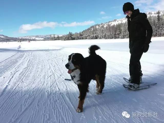 ins是什么意思啊，INS什么意思（Ins上大有来头的滤镜您都知道吗）