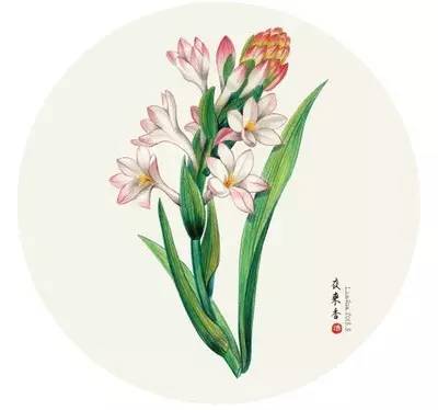 夜来香歌词邓丽君经典歌曲，邓丽君 夜来香歌曲（两首夜来香）