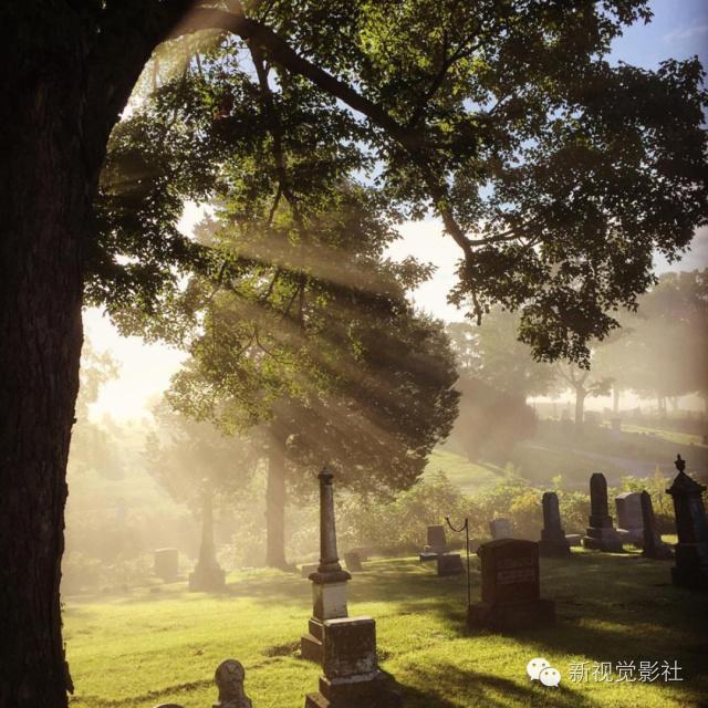 ins是什么意思啊，INS什么意思（Ins上大有来头的滤镜您都知道吗）