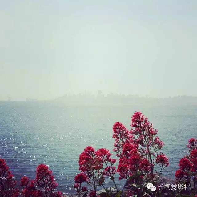 ins是什么意思啊，INS什么意思（Ins上大有来头的滤镜您都知道吗）