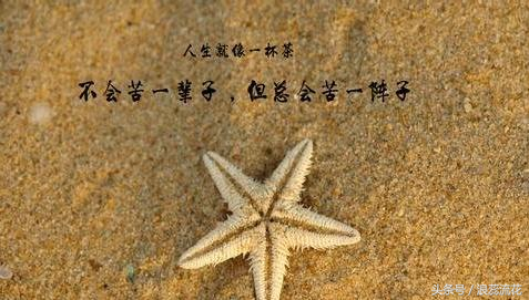 秋天感悟人生哲理句子（人生最美的格言）