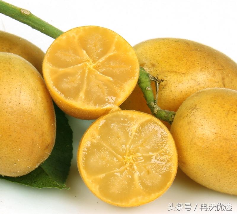 罗定有什么特产水果，罗定市有什么特产（广东特色水果--郁南无核黄皮）