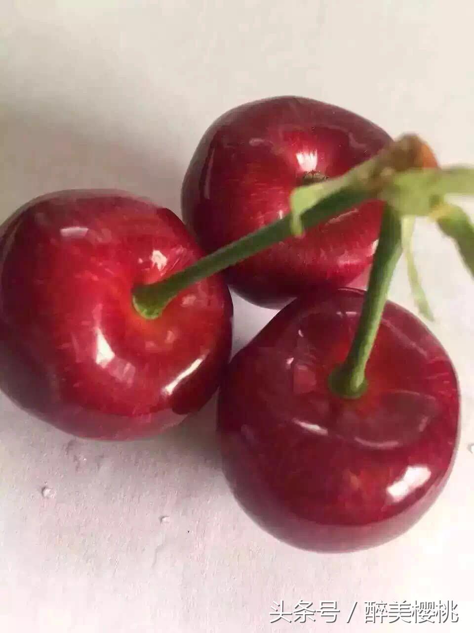 樱桃什么时候成熟，秦皇岛樱桃什么时候成熟（山东樱桃什么时候成熟）