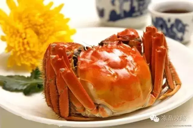 帝王蟹的特点，帝王蟹的特点有哪些（帝王蟹、皇帝蟹、雪蟹、梭子蟹、黄道蟹、青蟹的区别）