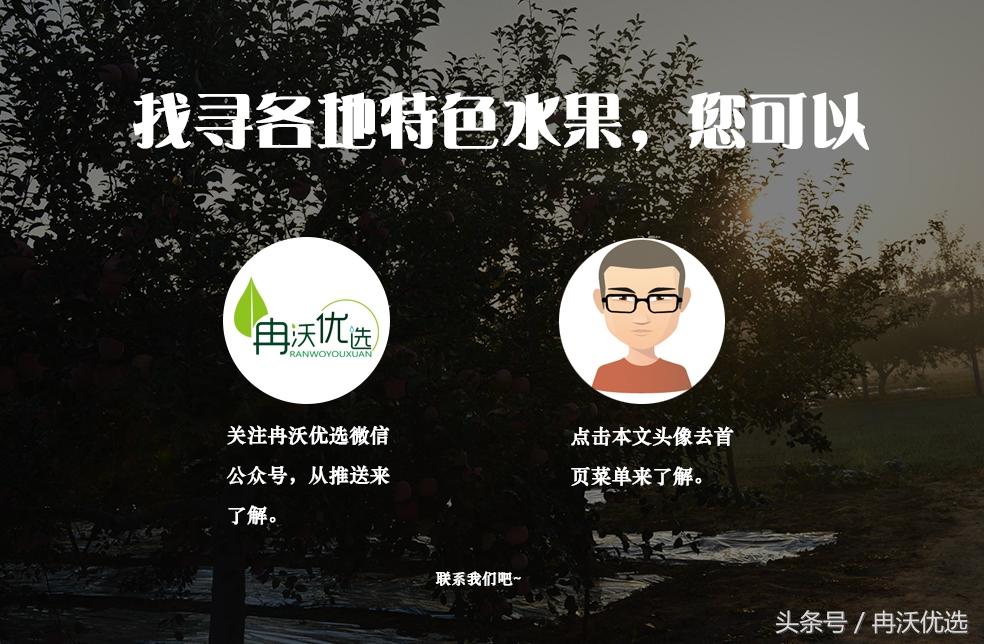 罗定有什么特产水果，罗定市有什么特产（广东特色水果--郁南无核黄皮）