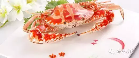 帝王蟹的特点，帝王蟹的特点有哪些（帝王蟹、皇帝蟹、雪蟹、梭子蟹、黄道蟹、青蟹的区别）