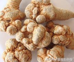 三七的功效与作用，三七的功效与作用及禁忌症（三七的功效及食用方法）