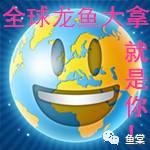 金龙鱼图片，几步看懂金龙鱼的美！（金龙鱼图片高清大图）