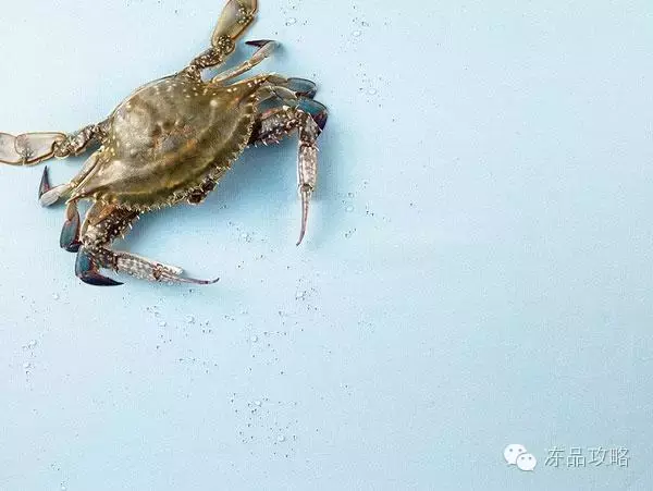 帝王蟹的特点，帝王蟹的特点有哪些（帝王蟹、皇帝蟹、雪蟹、梭子蟹、黄道蟹、青蟹的区别）