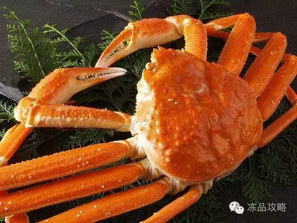 帝王蟹的特点，帝王蟹的特点有哪些（帝王蟹、皇帝蟹、雪蟹、梭子蟹、黄道蟹、青蟹的区别）