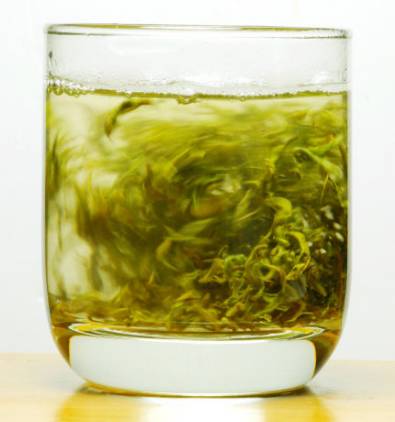 白豪银尖是什么茶，白毫银针属于白茶吗（二马茶文化，各省绿茶一览）