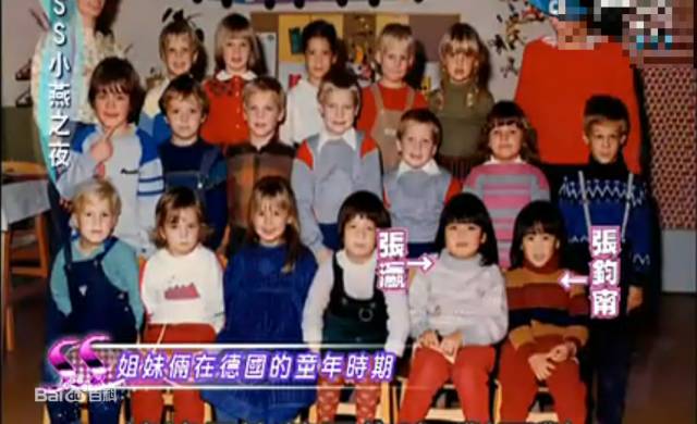 钧甯怎么读什么含义，钧甯怎么读（张钧甯疑似和科技CEO分手）