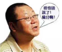 上海壹周电子版，上海壹周电子版湾仔码头水饺广告（我猜，这些事情你都一定干过）